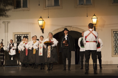 
Beč
Folklorni ansambl gradišćanskih
Hrvata ‘Kolo Slavuj’ (50. MSF Zagreb, 2016.)