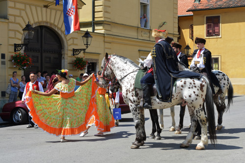 Prijem sudionika u Dvercu (48. MSF Zagreb, 2014.)
