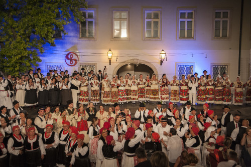 51. MSF Zagreb, 2017.